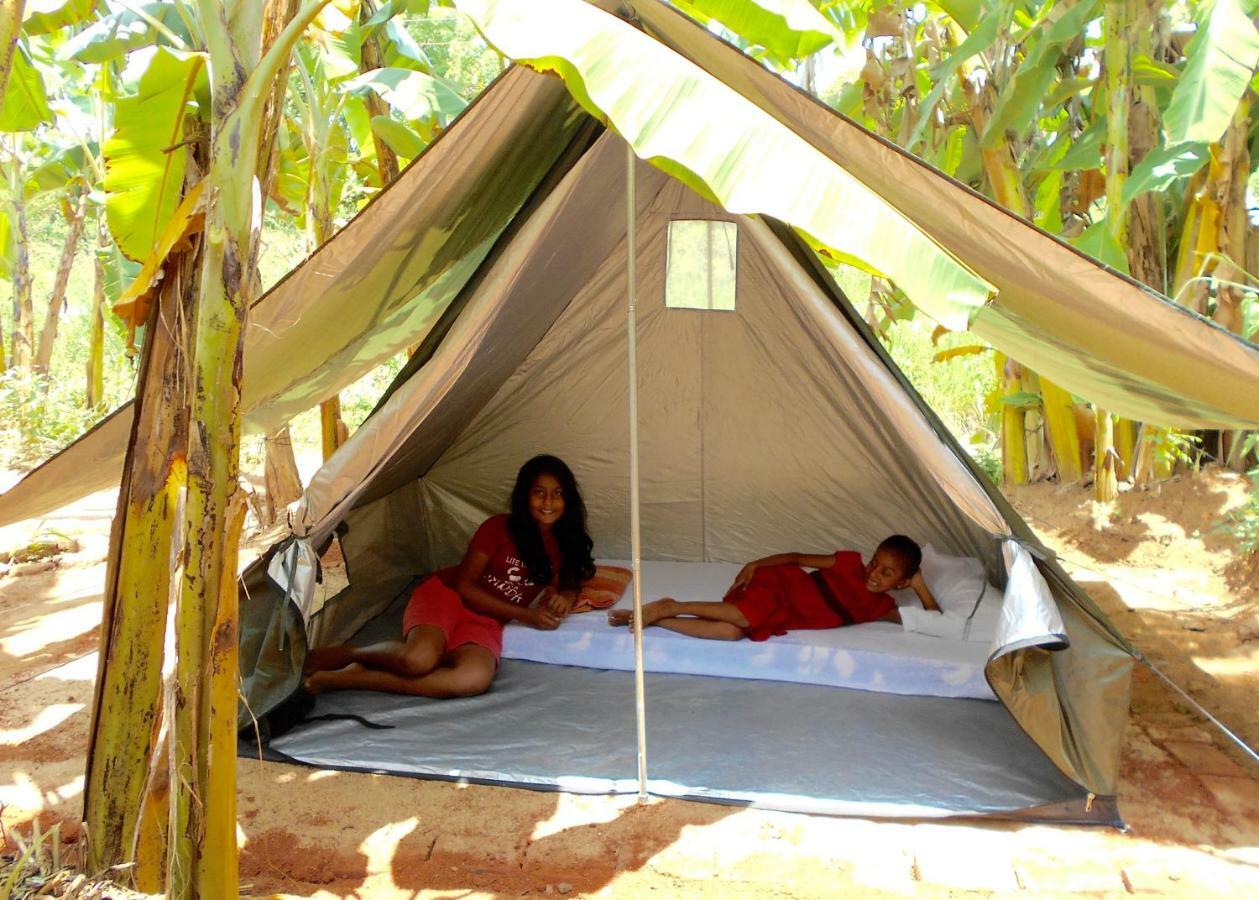 Homestay Camping Анурадхапура Екстер'єр фото